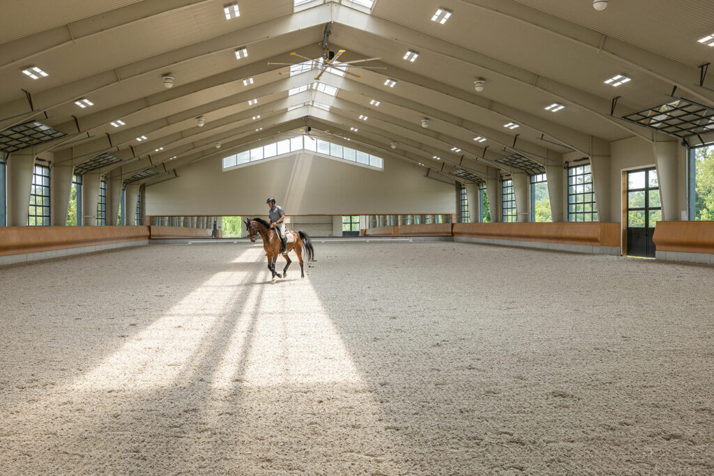 A person on a horse in an arena. The nature in projects provides a connection to the landscape, from ancient wood to another article of style. A roman architect might use similar aspects or examples.