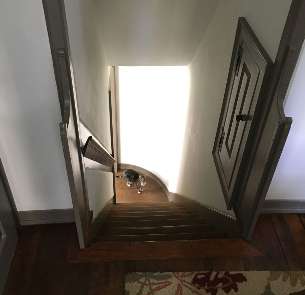 historic Dower House interior stair with cat