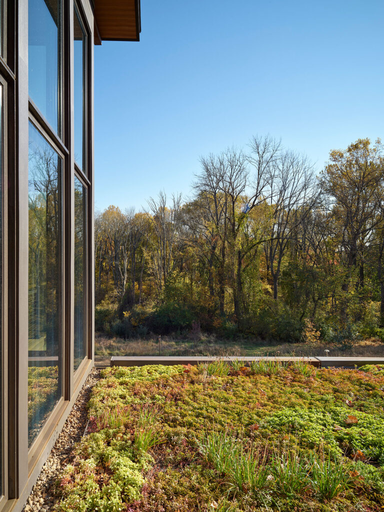 green roof on modern home