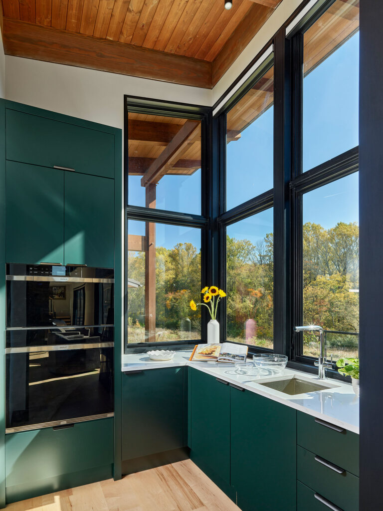 pantry with green cabinets in modern home